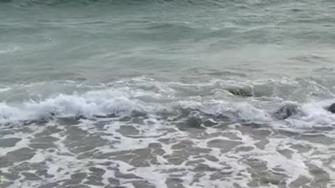 🏝