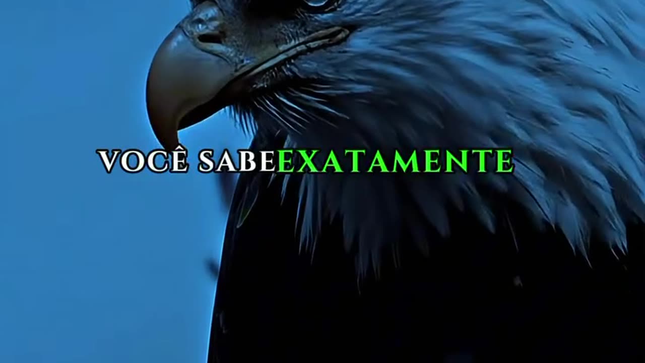 MENTALIDADE DE LEÃO