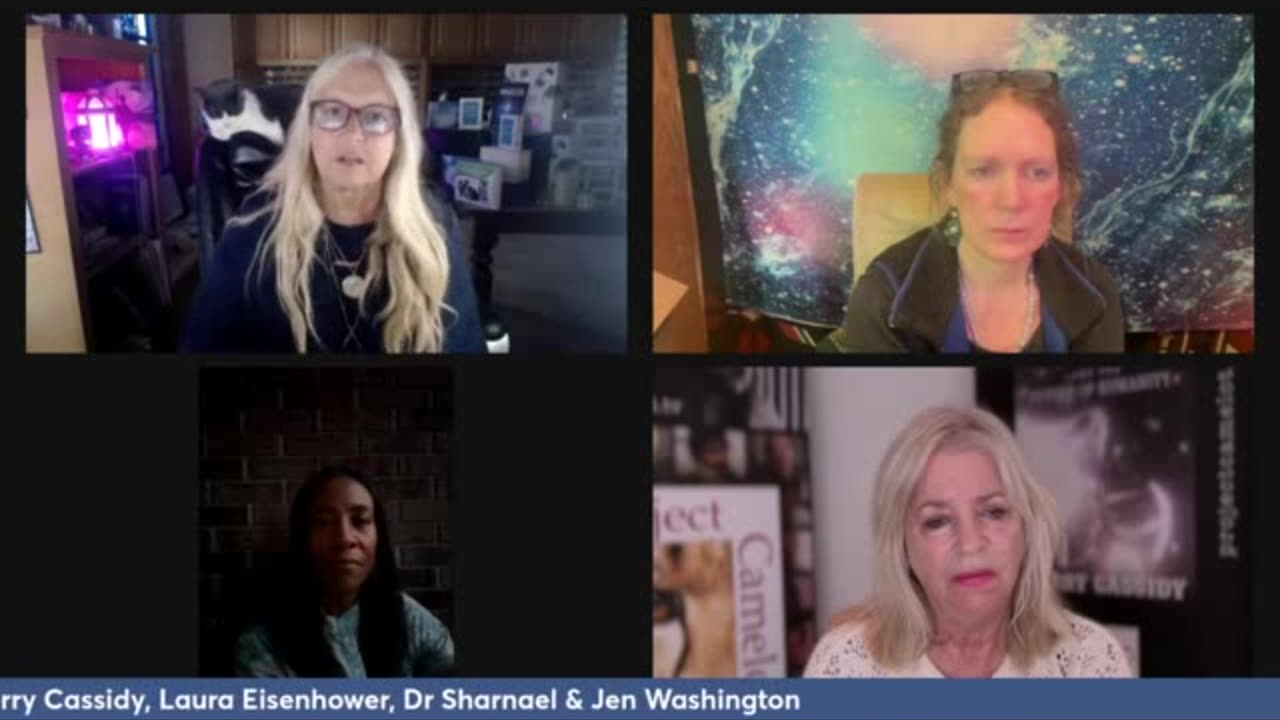 ROUNDTABLE-YOU CAN’T HANDLE THE TRUTH WITH LAURA EISENHOWER, KERRY CASSIDY & MORE