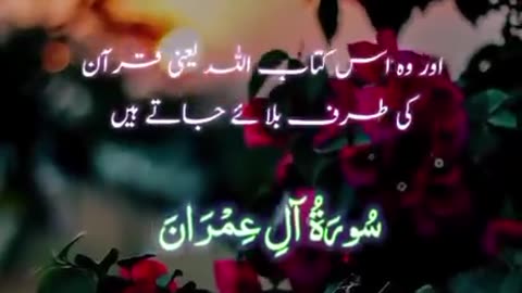 Beshak 💯♥️✨🕊️