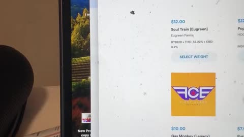 Big Dog Strategies is live