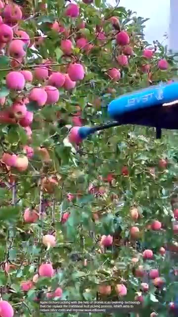 Apple Picking Process by Drone 😱😮