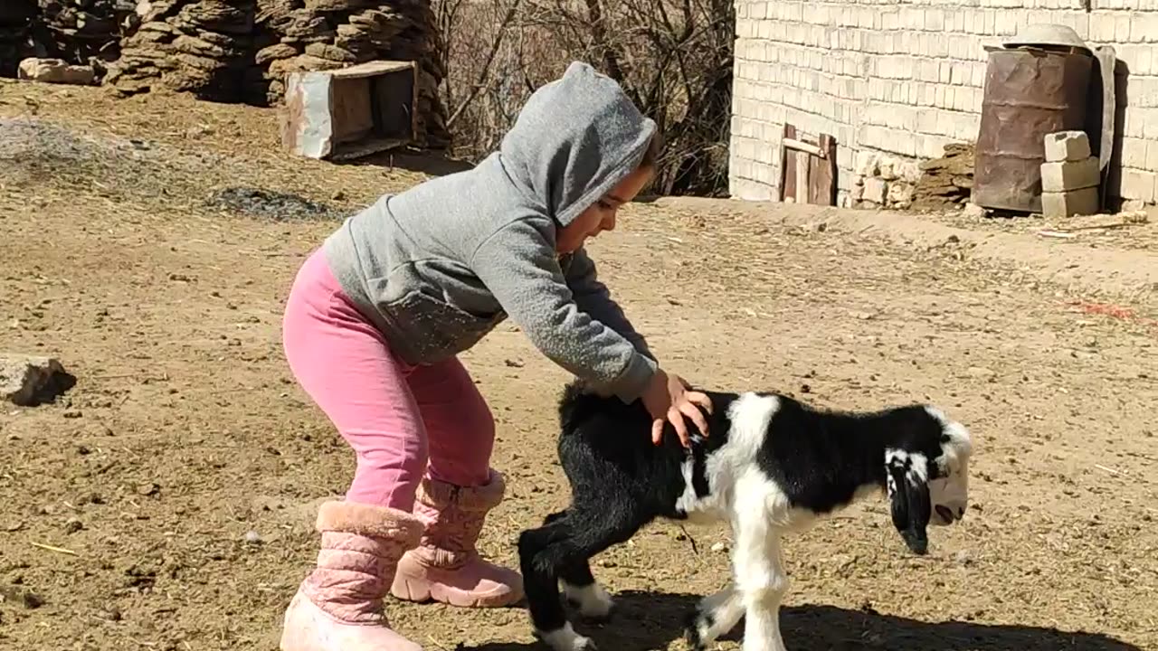 Funny Moment in Village Natural Life with kids