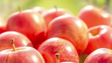 Introducing the Juicy Gala Apple, your gateway to nature's perfect bite.