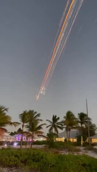 Elon Musk - Success is uncertain, but entertainment is guaranteed! ✨