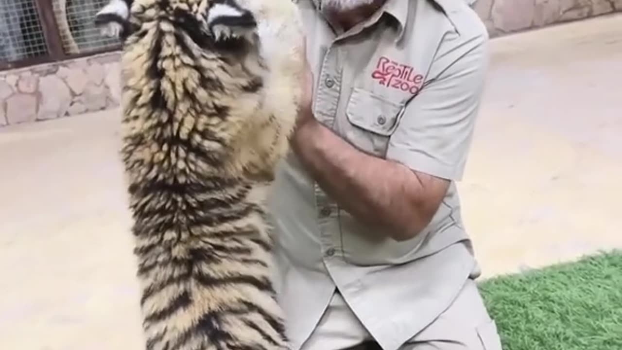 CUTEST LITTLE BABY LIONš„°
