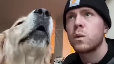 Dogs can understand what you say