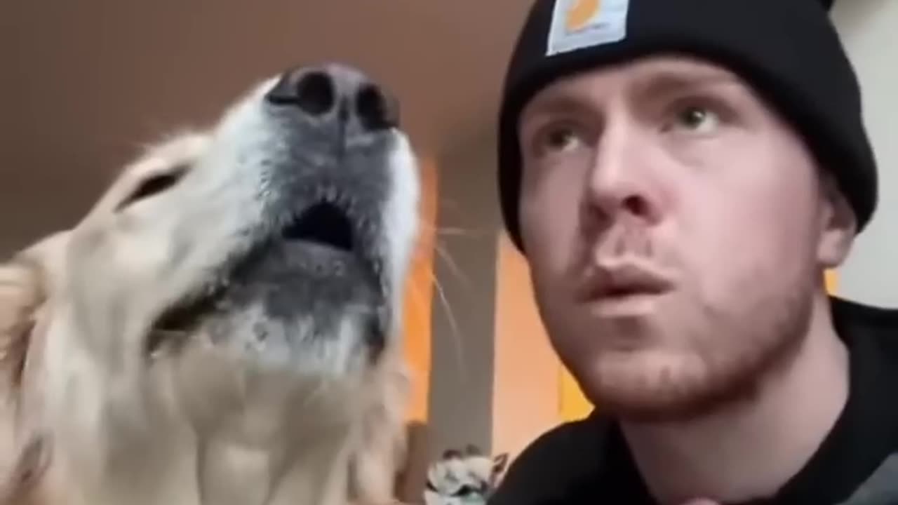 Dogs can understand what you say