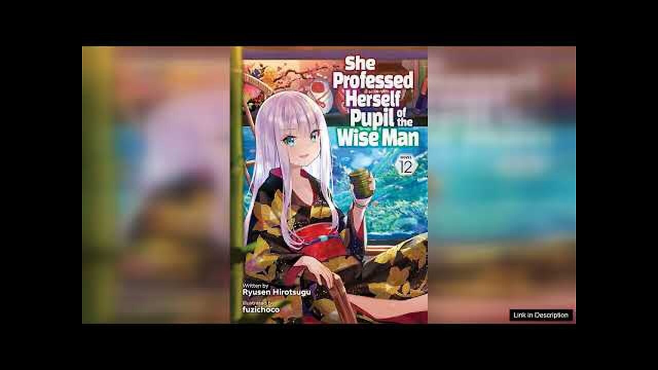 She Professed Herself Pupil Of The Wise Man: Volume 12 (Light Novel) Review