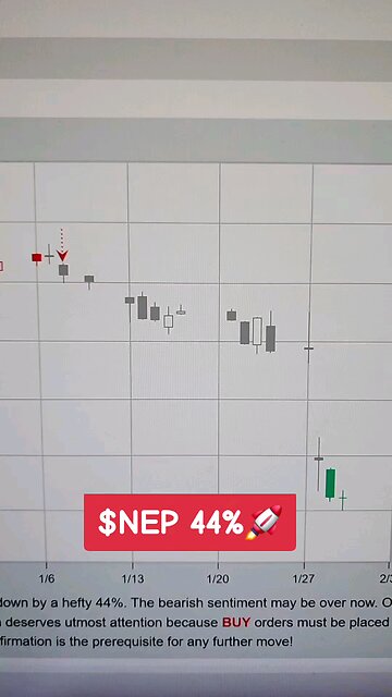 $NEP 44%🚀