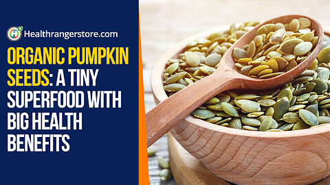 Organic Pumpkin Seeds: A tiny superfood with big health benefits