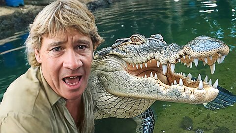 The Real Reason Behind The Crocodile Hunter's Death