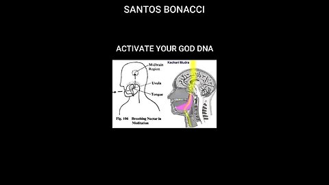 activate your DNA