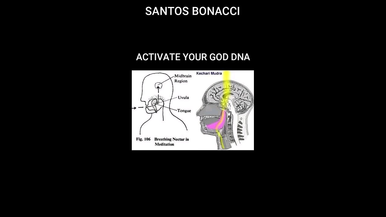 activate your DNA