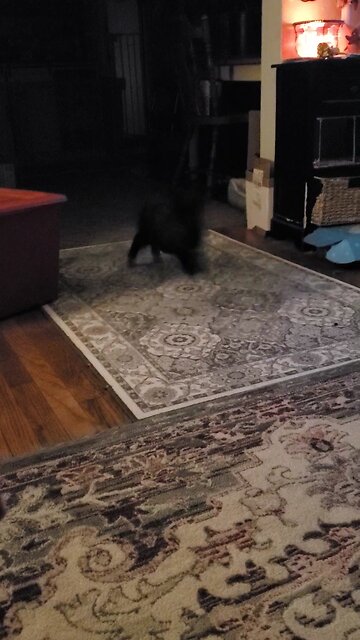 Blink and you'll miss him