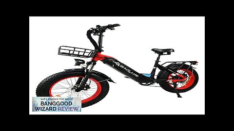 USA Direct BAOLUJIE DP-2003 48V 12AH 500W 20*4.0inch Electric Bicycle 30-40KM Max Review