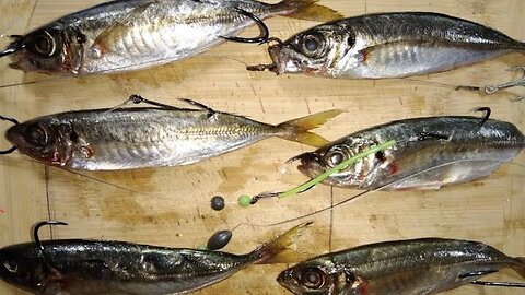 Different ways on how to SET UP BAIT for fishing - How and when to use these baits.