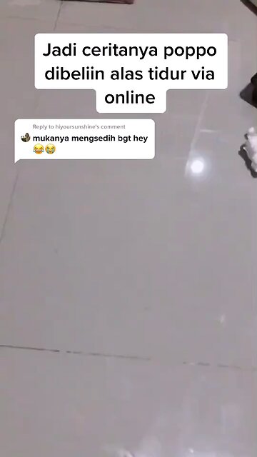 Funny Cat Videos 21 - unlucky cat