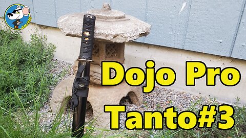 Dojo Pro Tanto #3