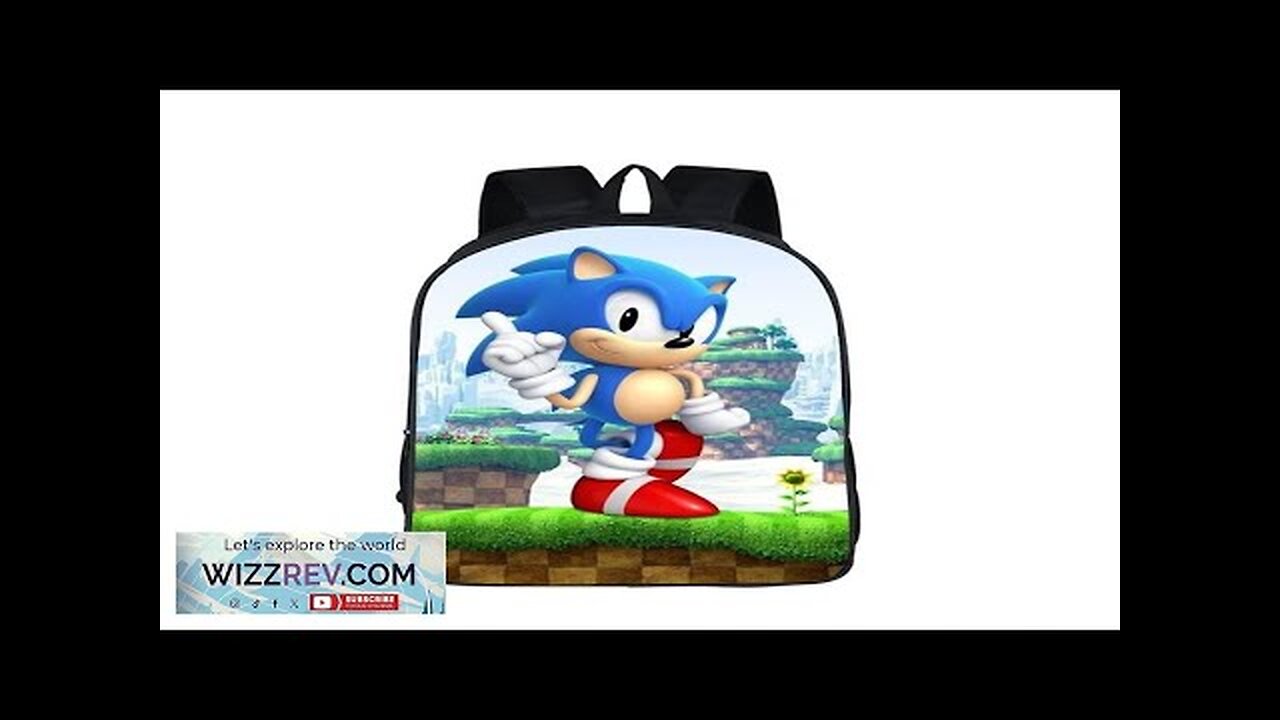 Sonic The Hedgehog 3D Greenhill Zone School Backpack Bag Review