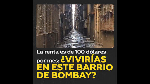 Olor repugnante, suciedad, ratas: así es un barrio residencial en Bombay