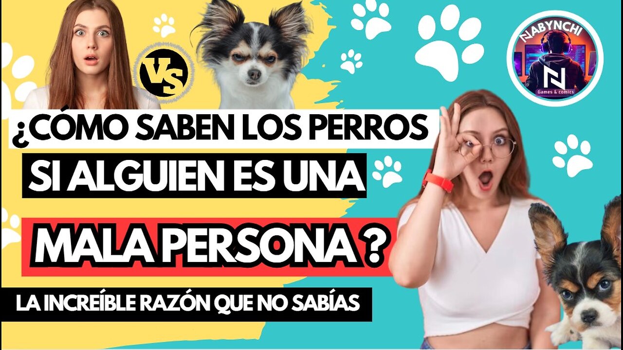 ¿Cómo saben los perros si alguien es una mala persona ¡Descubre su increíble intuición!