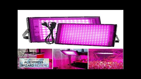 Led Grow Light Full Spectrum Phyto Lamp For Plant Light 300W Hydroponics Review