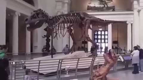 Try Not to Laugh Challenge 887 🤣 #funny _#shorts #viral