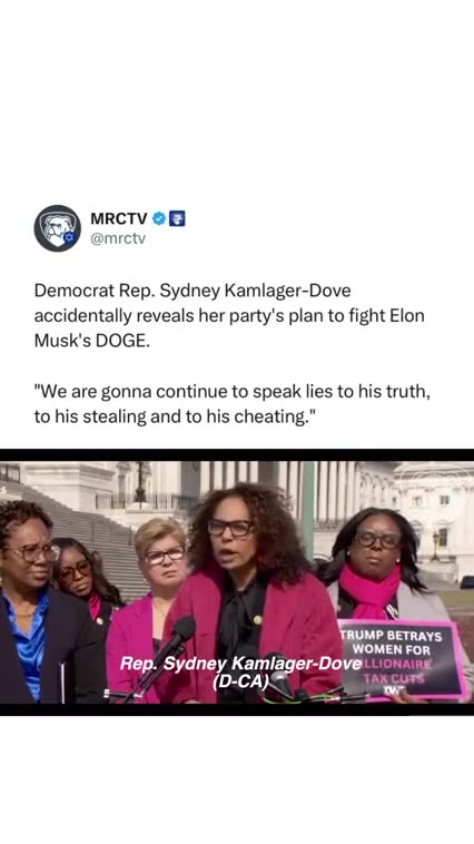 CAN'T STOP 😸 THE DOGE❗