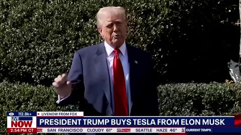 Trump on labeling people attacking Tesla dealerships as domestic terrorists