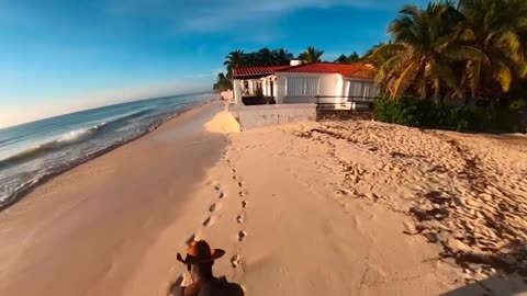 Beach Run 360 - A fun video