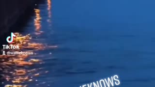 Mermaids Part 1