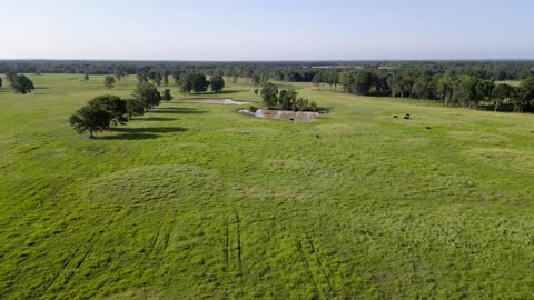 1000+ East Texas Cattle Ranch For Sale, Bowie County TX