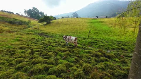 Colombian highlands and a large lake