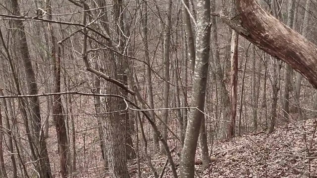 Hiking down spur ridge off Middle Mountain