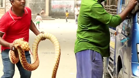 Best King Cobra VS Man Prank! | Sagor Bhuyan