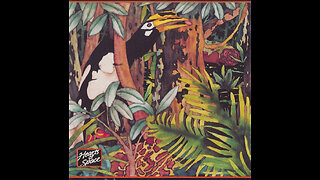 1989 - Robert Rich - Rainforest [FULL ALBUM]