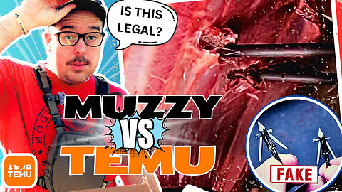 🎯Muzzy Hybrid vs. TEMU Fake Broadhead! Unexpected Results – Brutal Test!🔥