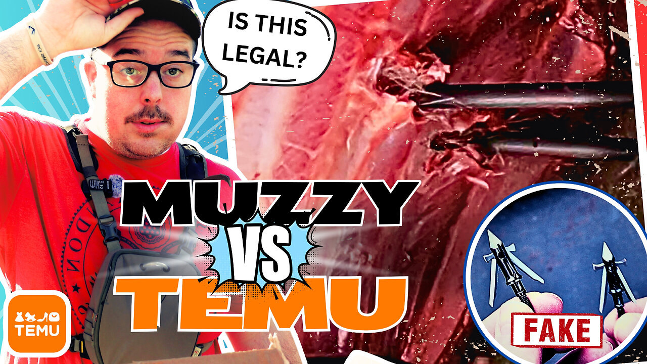 🎯Muzzy Hybrid vs. TEMU Fake Broadhead! Unexpected Results – Brutal Test!🔥