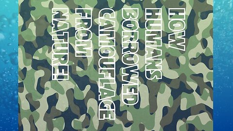 Can You Spot It? - Word Quiz #14 "