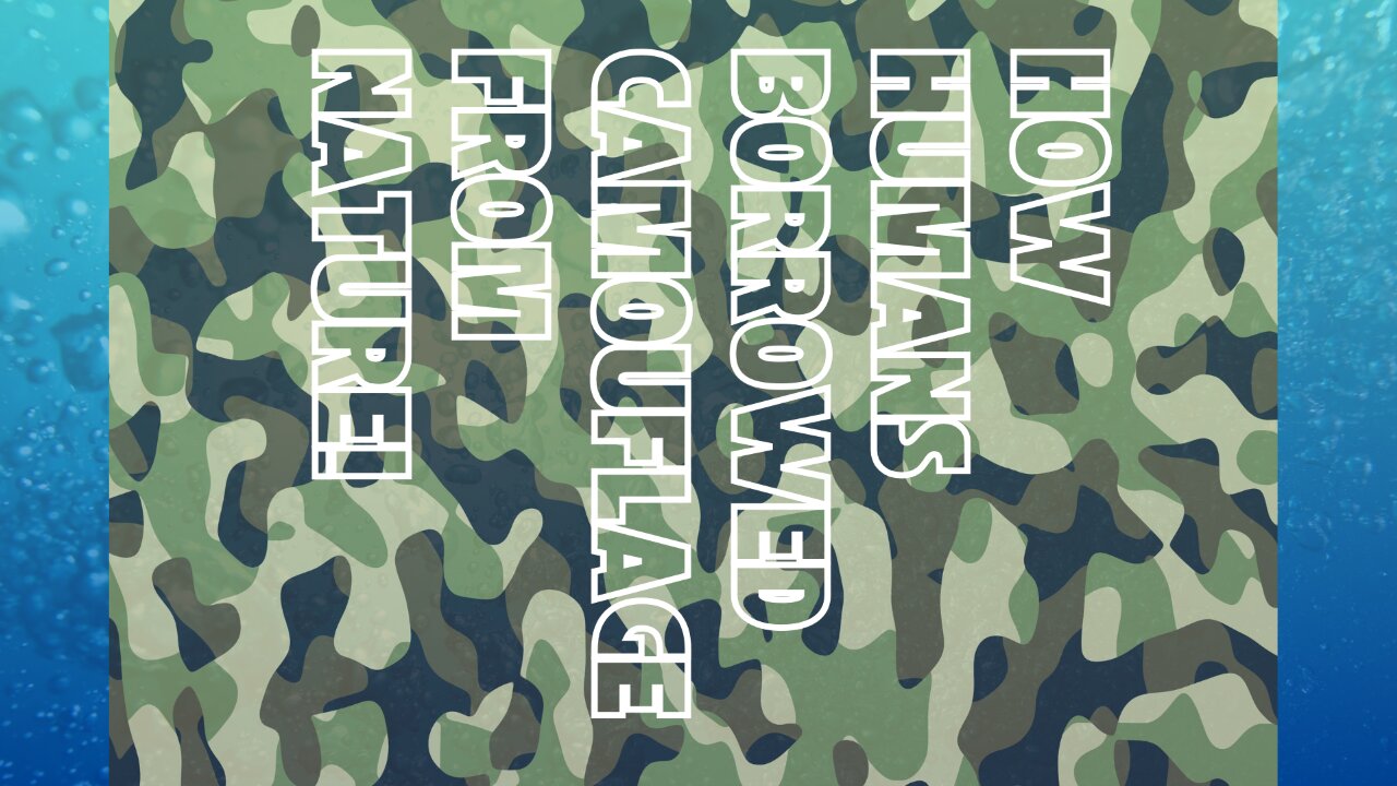 Can You Spot It? - Word Quiz #14 "