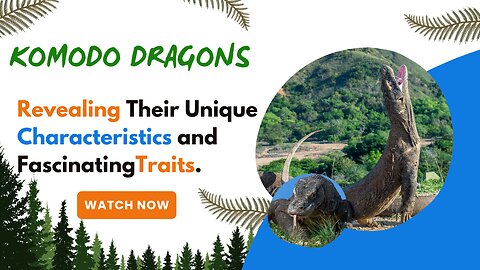 Komodo Dragons, Revealing Their Unique Characteristics and Fascinating Traits.