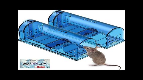 Humane Mouse Trap Catch and Release Mouse Traps That Work Review