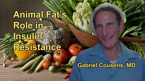 How Animal Fat and Protein Contribute to Insulin Resistance