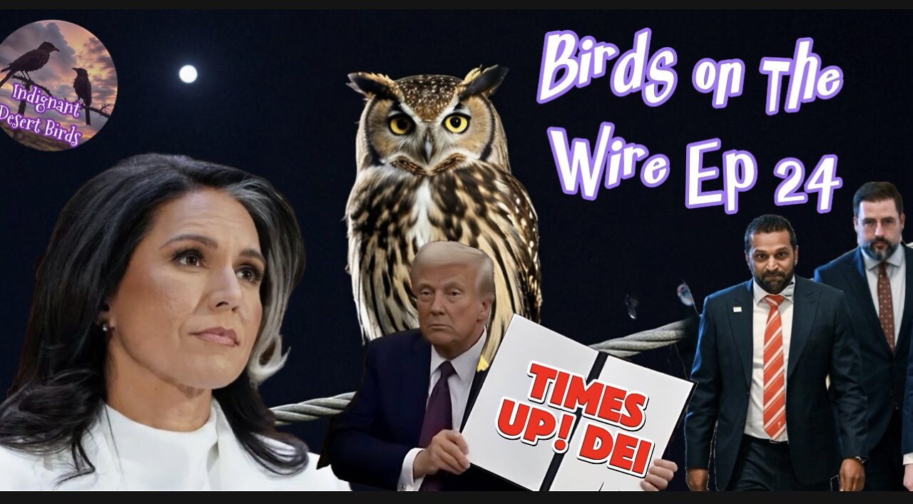 Birds on The Wire Ep 24 Trump don’t play! confirmation madness and more!