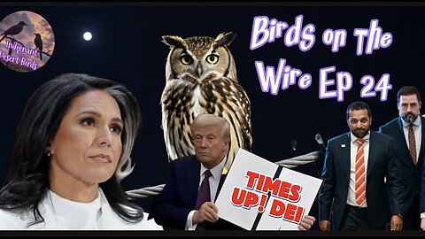 Birds on The Wire Ep 24 Trump don’t play! confirmation madness and more!