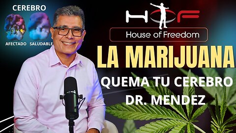 Médico Expone La Verdad De La Adicción A La Marihuana (Cannabis)