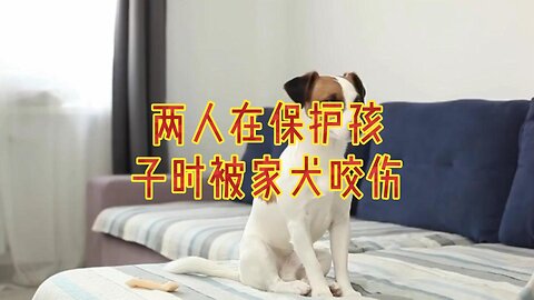 两人在保护孩子时被家犬咬伤