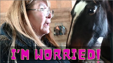 She's so WORRIED about her HORSES!