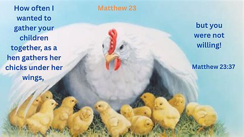 Matthew 23 : Jesus Calls Out Hypocrisy of Church Leaders